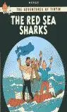TINTIN RED SEA SHARKS