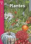 PLANTES