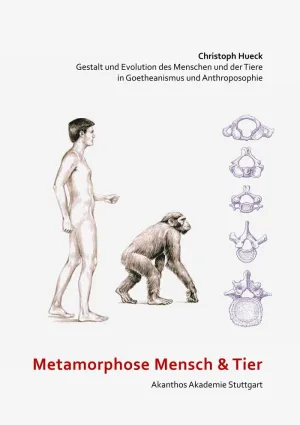 METAMORPHOSE MENSCH UND TIER