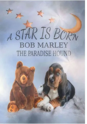 A STAR IS BORN - BOB MARLEY THE PARADISE HOUND