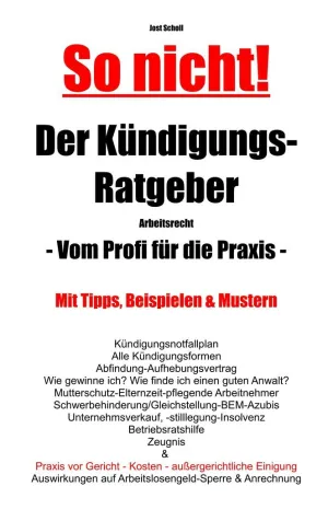 SO NICHT! DER KÜNDIGUNGS-RATGEBER ARBEITSRECHT