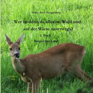 Wer Ist Denn Da Alles Im Wald Und Auf Der Wiese Unterwegs?
