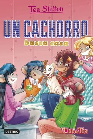 UN CACHORRO BUSCA CASA