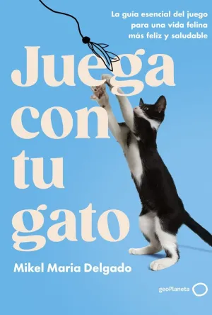 JUEGA CON TU GATO
