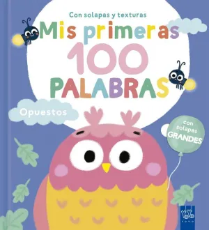 MIS PRIMERAS 100 PALABRAS CON TEXTURAS. OPUESTOS