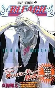 BLEACH BESTSELLER N.20