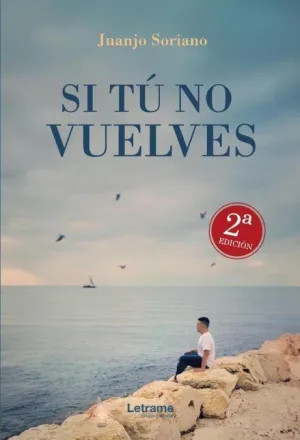 Si tú no Vuelves