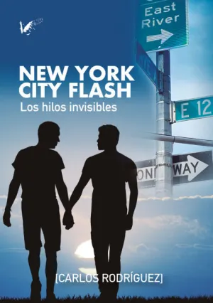 NEW YORK CITY FLASH