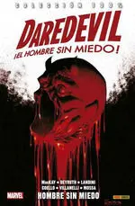 COLECCIÓN 100% DAREDEVIL EL HOMBRE SIN MIEDO 17. HOMBRE SIN MIEDO