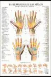 REFLEXOLOGÍA DE LAS MANOS