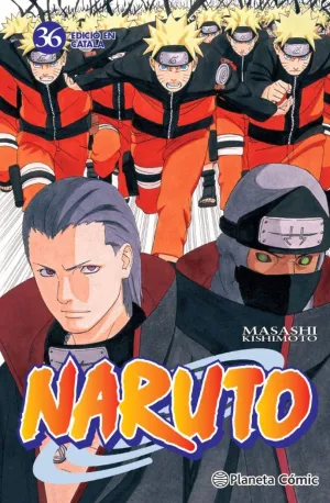 NARUTO CATALÀ N. 36/72