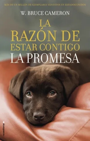 LA RAZÓN DE ESTAR CONTIGO 3 - LA PROMESA