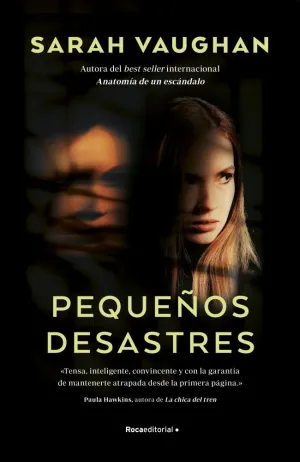 PEQUEÑOS DESASTRES PEQUEÑOS DESASTRES