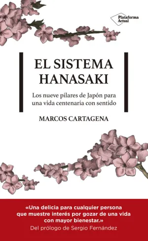 EL SISTEMA HANASAKI EL SISTEMA HANASAKI