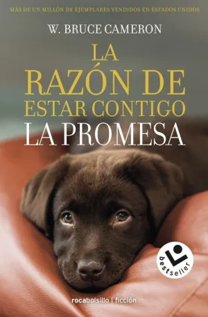 LA RAZÓN DE ESTAR CONTIGO 3 - LA PROMESA