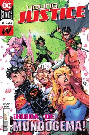 YOUNG JUSTICE NÚM. 06