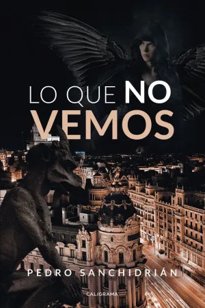 LO QUE NO VEMOS