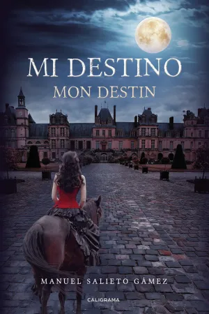 MI DESTINO