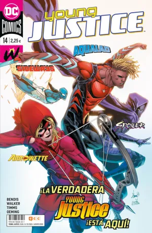 YOUNG JUSTICE NÚM. 14