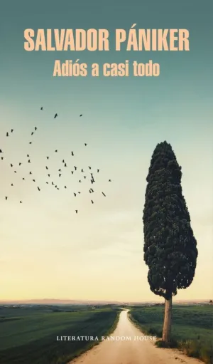Adiós a Casi Todo (Diarios de Pániker 5)