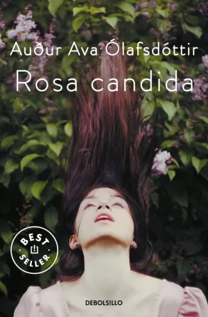 ROSA CANDIDA