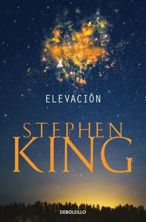 ELEVACIÓN ELEVACIÓN