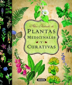 PLANTAS MEDICINALES Y CURATIVA