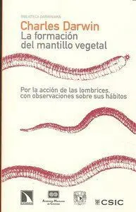LA FORMACIÓN DEL MANTILLO VEGETAL