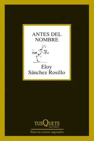 ANTES DEL NOMBRE