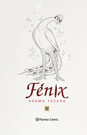 FÉNIX Nº 06/12 (TRAZADO)